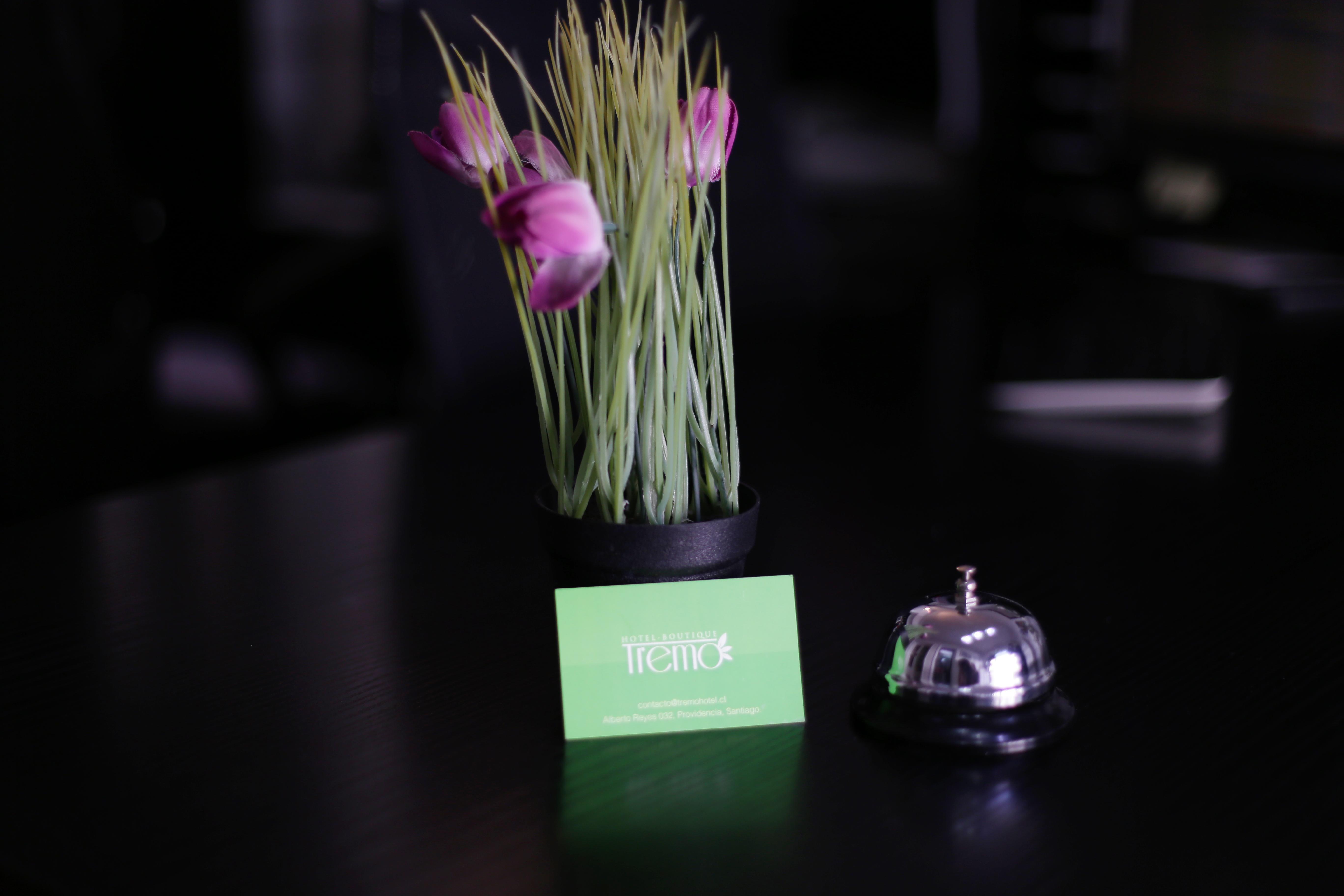 Hotel Boutique Tremo Bellavista Santiago Exterior photo